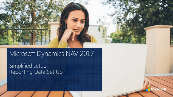 microsoft dynamics nav 2017 reporting-data-set-up